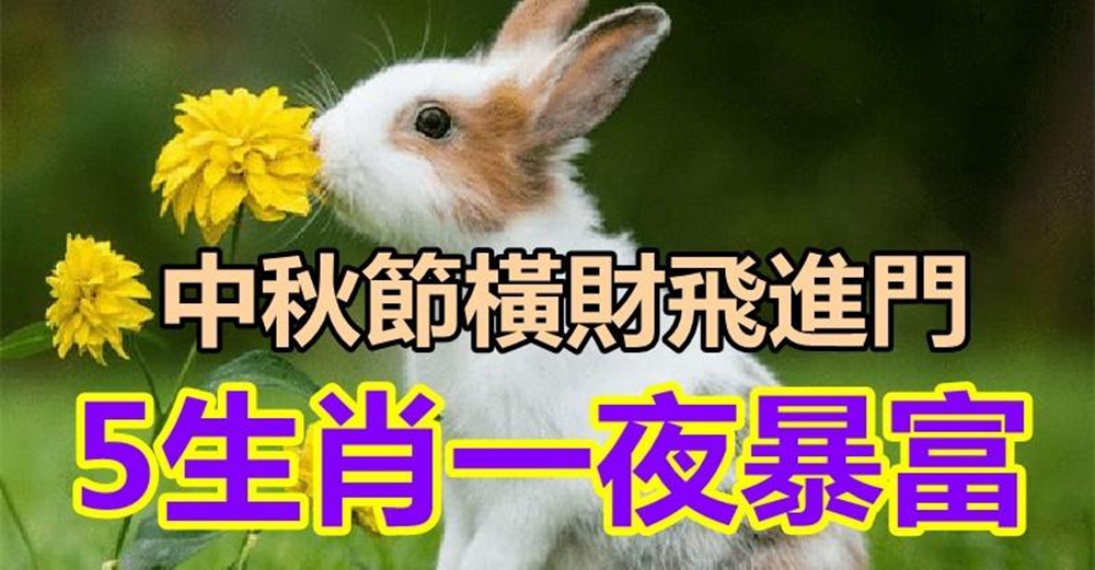 天降大喜,5生肖中秋節橫財飛進門,不出三天一夜暴富,事業財運雙豐收