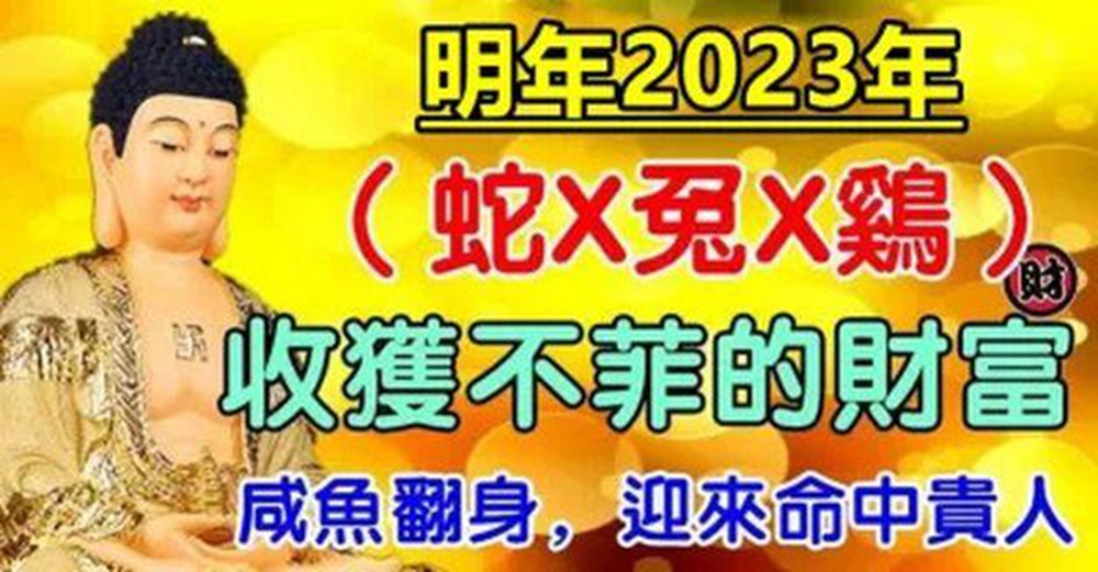 2023年迎來命中貴人,鹹魚翻身的生肖