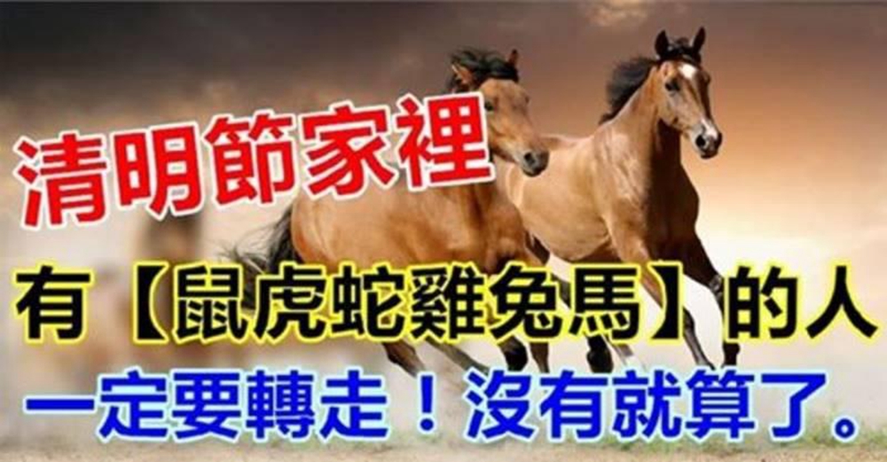 清明節家裡有鼠虎蛇雞兔馬的人,天降橫財偏財運大好。
