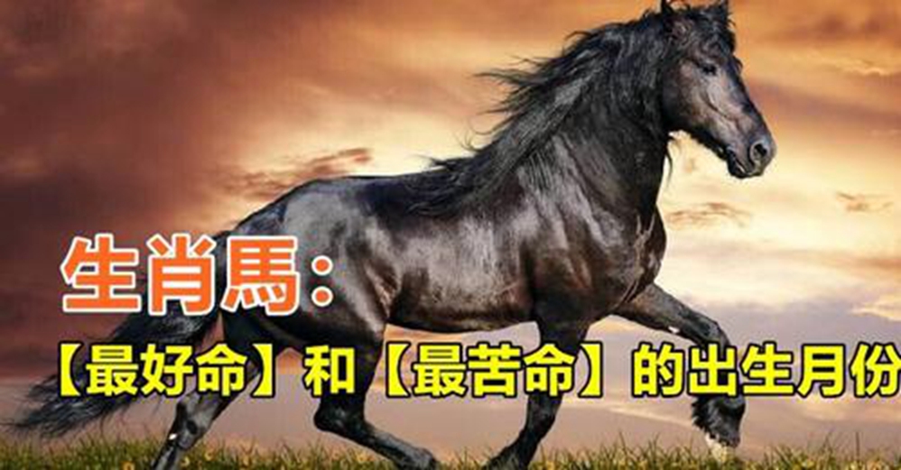 生肖馬:最苦命和最好命的出生月份,大家都說準