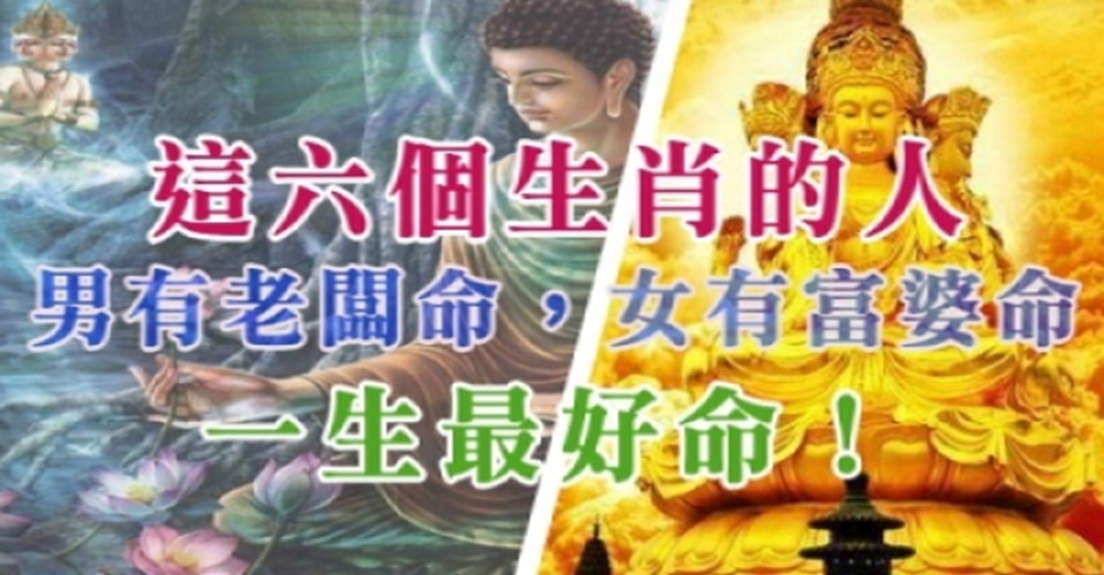 這「6個生肖」的人:男有老闆命,女有富婆命,一生最好命!