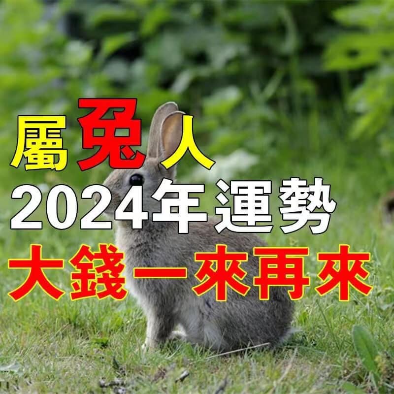 屬兔人：2024年運勢，大錢一來再來！