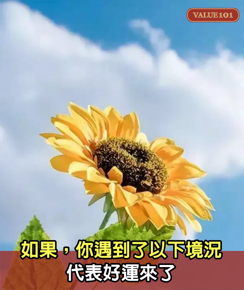 如果,你遇到了以下境況,代表好運來了