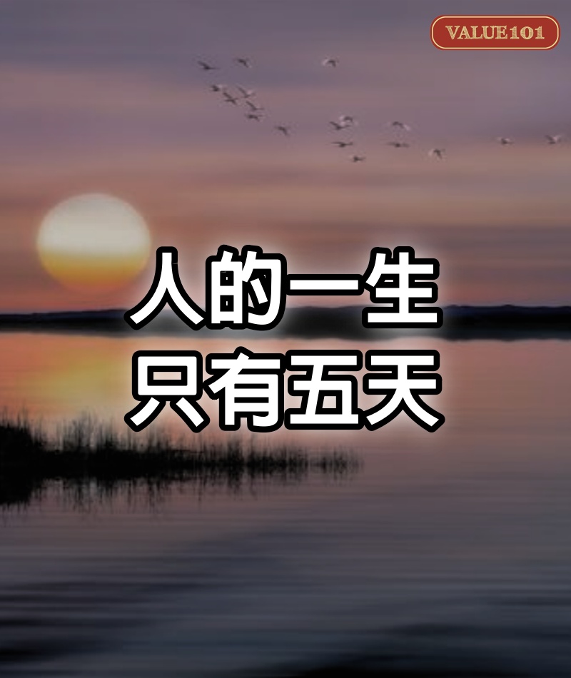 人的一生，只有5天