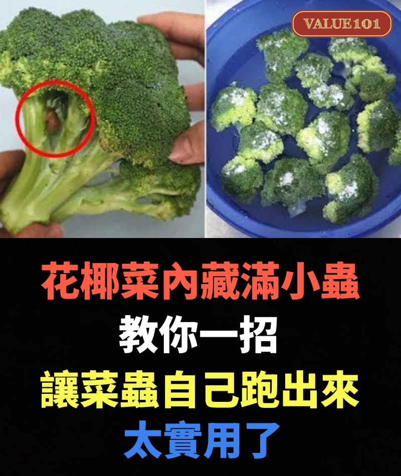 原來花椰菜內藏滿小蟲,教你一招,讓所有菜蟲自己跑出來,太實用了