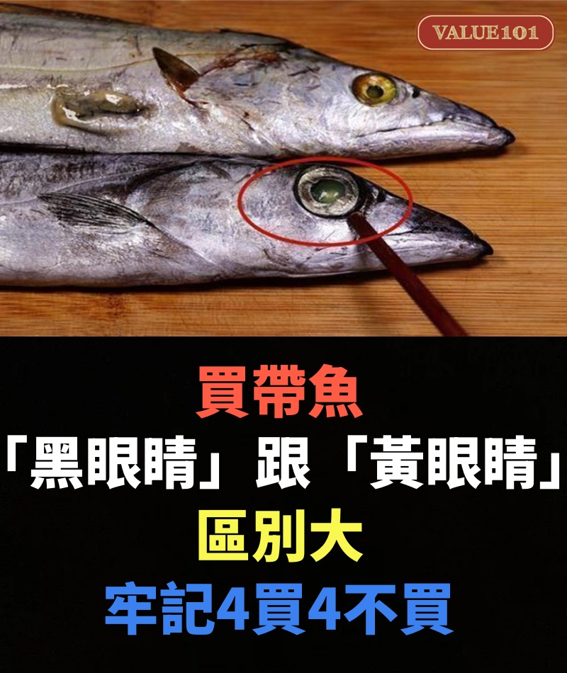 買帶魚,「黑眼睛」跟「黃眼睛」區別大,牢記4買4不買,帶魚鮮嫩味道正
