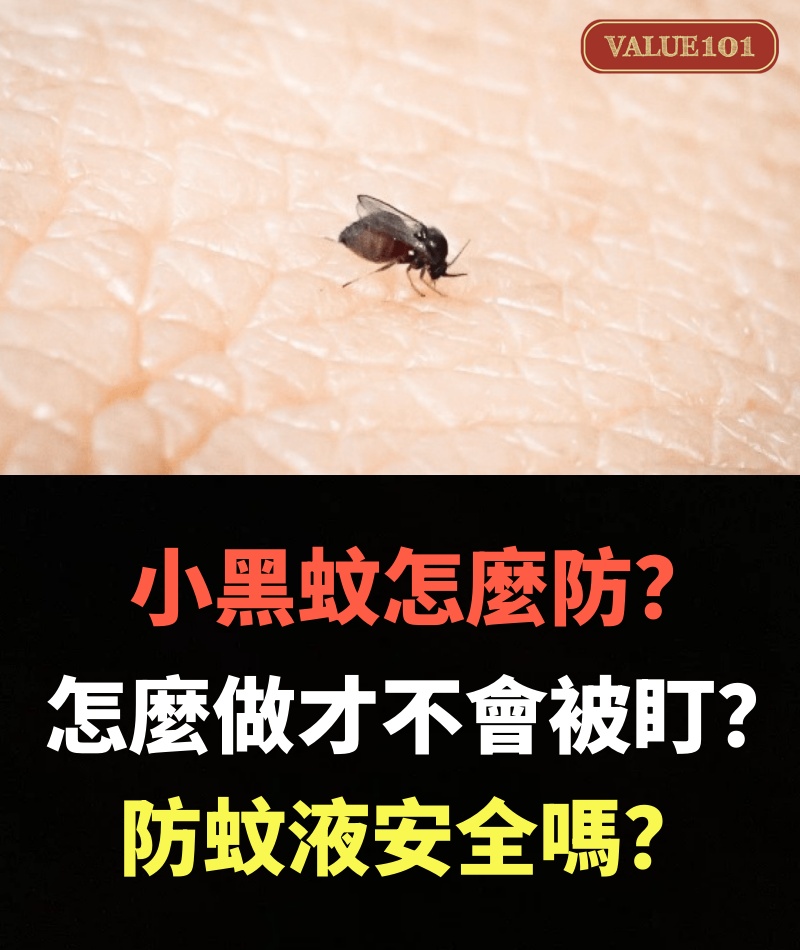小黑蚊怎麼防?怎麼做才不會被盯?防蚊液安全嗎?最新貼片疫苗能達預防和治療效果?