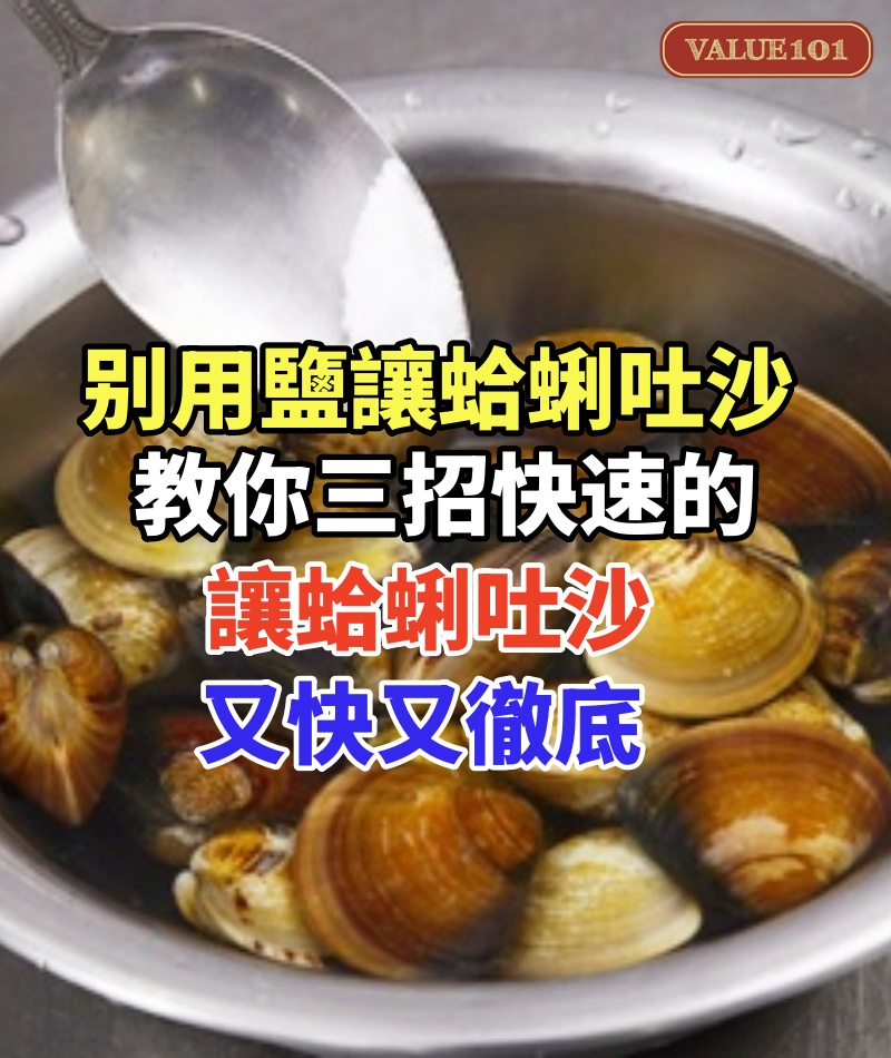 還在用鹽水讓蛤蜊吐沙？太慢了「老漁民教你三招快速的」讓蛤蜊吐沙又快又徹底