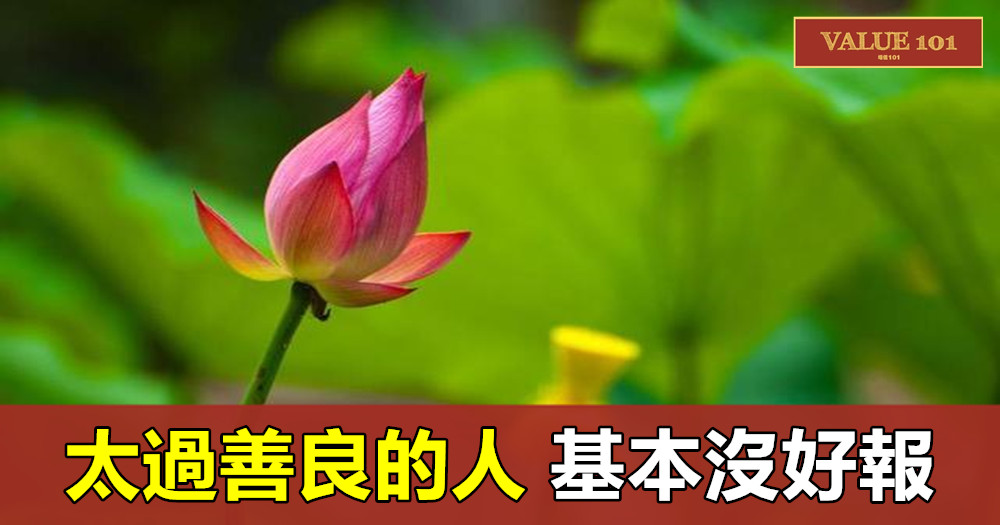 太過善良的人,基本沒好報