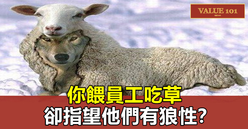 你餵員工吃草,卻指望他們有狼性?